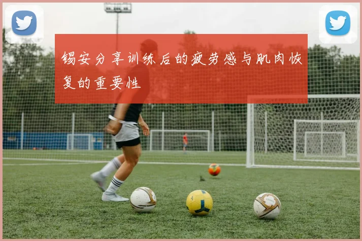 锡安分享训练后的疲劳感与肌肉恢复的重要性