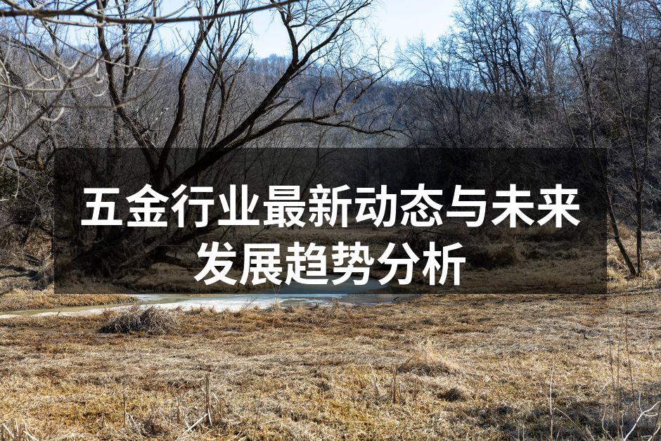 五金行业最新动态与未来发展趋势分析