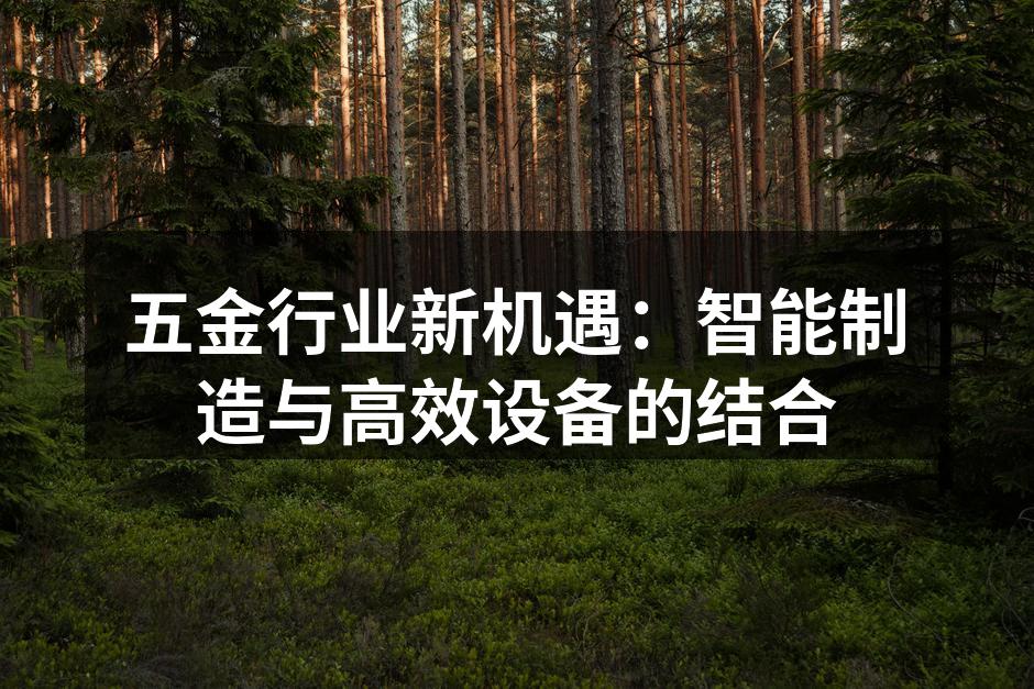 五金行业新机遇：智能制造与高效设备的结合